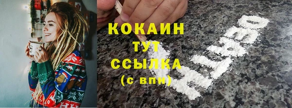ПСИЛОЦИБИНОВЫЕ ГРИБЫ Баксан