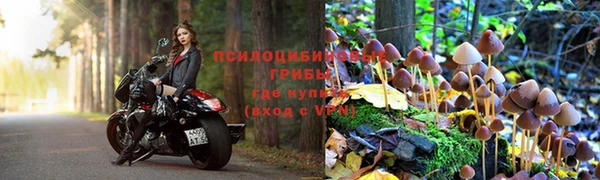эйфоретик Балахна