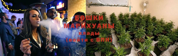 ПСИЛОЦИБИНОВЫЕ ГРИБЫ Баксан