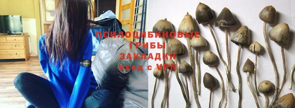 эйфоретик Балахна