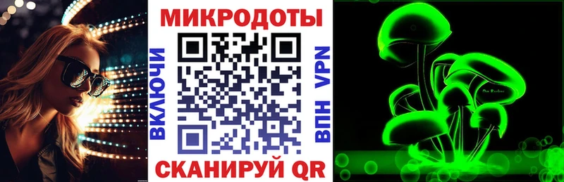 Галлюциногенные грибы Psilocybe  Давлеканово 